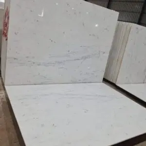 Indian Sataturio