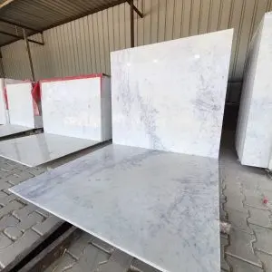 Wonder White Purple